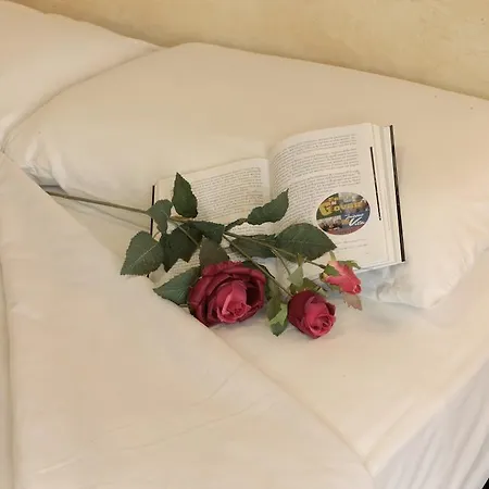 Hotel Abacus 3*